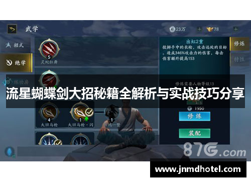 流星蝴蝶剑大招秘籍全解析与实战技巧分享