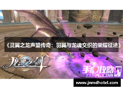 《灵翼之龙声望传奇：羽翼与龙魂交织的荣耀征途》