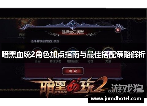 暗黑血统2角色加点指南与最佳搭配策略解析
